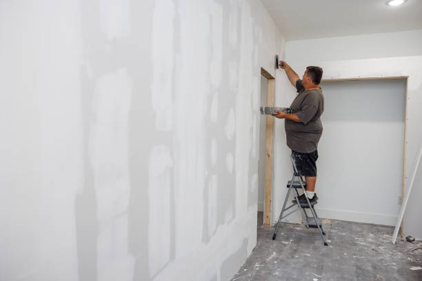 Professional Mold Removal in Sussex, NJ